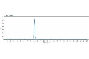anti-ErbB3 (Lumretuzumab Biosimilar) antibody