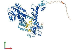 AlphaFold protein structure predicition of Human Recombinant FBXO21 Protein, UniprotID O94952 (FBXO21 Protein (AA 1-628) (His tag))