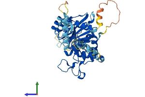 AlphaFold protein structure predicition of Mouse Recombinant B3galt4 Protein, UniprotID Q9Z0F0