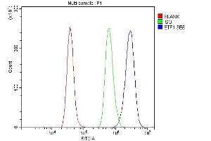 Flow Cytometry analysis of RH35 cells using anti-eRF1/ETF1 antibody (ABIN7602626). (ETF1 antibody  (AA 9-342))