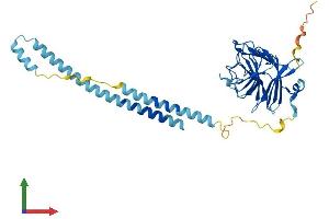 Protein Structure (PS) image for Tripartite Motif Containing 16-Like (TRIM16L) (AA 1-348) protein (His tag) (ABIN7544551)