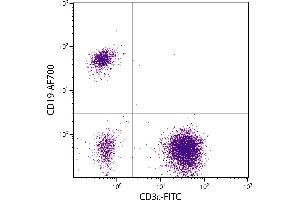 Human peripheral blood lymphocytes were stained with Mouse Anti-Human CD19-AF700. (CD19 antibody)