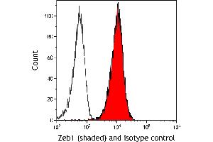 anti-Zinc Finger E-Box Binding Homeobox 1 (ZEB1) (AA 750-800) antibody