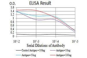 Fig. (RAN antibody  (AA 1-216))