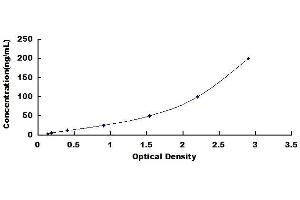 Typical standard curve (PON1 ELISA Kit)