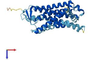 AlphaFold protein structure predicition of Human Recombinant OR4F6 Protein, UniprotID Q8NGB9 (OR4F6 Protein (AA 1-312) (His tag))