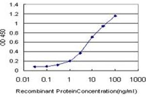 Detection limit for recombinant GST tagged NGB is approximately 0. (Neuroglobin antibody  (AA 1-151))