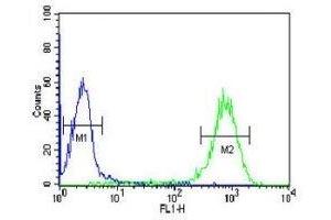 DLK2 antibody flow cytometric analysis of HL-60 cells (green) compared to a negative control (blue). (DLK2 antibody  (AA 353-380))