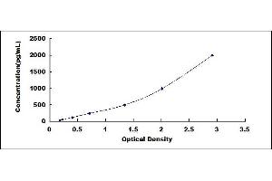 Typical standard curve (FLT3LG ELISA Kit)