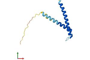 Protein Structure (PS) image for Translocase of Inner Mitochondrial Membrane 13 Homolog (TIMM13) (AA 1-95) protein (His tag) (ABIN7544380)