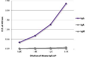 ELISA plate was coated with Goat Anti-Mouse IgG, Human ads-UNLB was captured and quantified. (Mouse IgG isotype control (Alkaline Phosphatase (AP)))