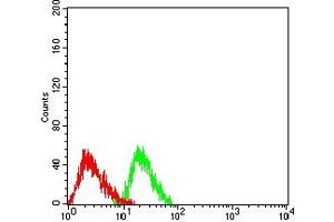 Flow Cytometry (FACS) image for anti-RNA Binding Motif Protein 9 (RBM9) (AA 1-145) antibody (ABIN7193358)