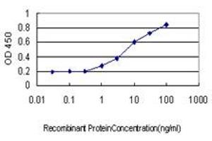 Detection limit for recombinant GST tagged SFRS6 is approximately 1ng/ml as a capture antibody. (SFRS6 antibody  (AA 1-75))