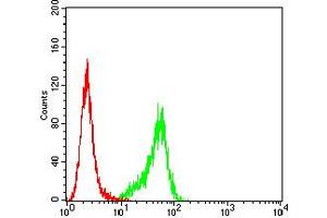 Flow cytometric analysis of Hela cells using P2RY14 mouse mAb (green) and negative control (red). (P2RY14 antibody)