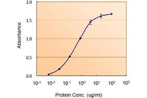 Image no. 3 for anti-Glial Fibrillary Acidic Protein (GFAP) (C-Term) antibody (ABIN374749)
