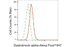 Flow cytometric analysis of Dystrobrevin alpha expression in C2C12 cells using Dystrobrevin alpha antibody (ABIN7798410), 1:1,000). (DTNA antibody)