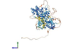 AlphaFold protein structure predicition of Human Recombinant RASGRP3 Protein, UniprotID Q8IV61 (RASGRP3 Protein (AA 1-690) (His tag))