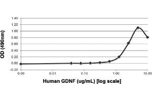C6 cells were cultured with 0 to 10 ug/mL human GDNF. (GDNF Protein)