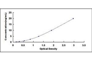 Typical standard curve (Plakophilin 1 ELISA Kit)