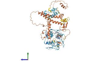 AlphaFold protein structure predicition of Human Recombinant ZNF195 Protein, UniprotID O14628 (ZNF195 Protein (AA 1-629) (His tag))