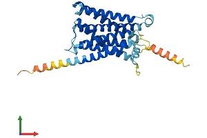 AlphaFold protein structure predicition of Human Recombinant MRGPRE Protein, UniprotID Q86SM8 (MRGPRE Protein (AA 1-312) (His tag))