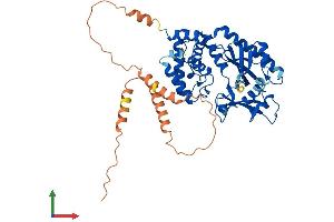 AlphaFold protein structure predicition of Human Recombinant MIEF1 Protein, UniprotID Q9NQG6