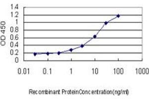 Detection limit for recombinant GST tagged POLD4 is approximately 0. (POLD4 antibody  (AA 1-34))