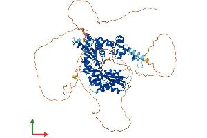 AlphaFold protein structure predicition of Human Recombinant POLI Protein, UniprotID Q9UNA4