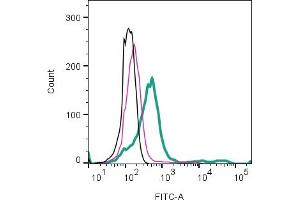 Cell surface detection of GPR109A/HCAR2 by direct flow cytometry in live intact mouse myeloid leukemia M1 cell line:  + Rabbit IgG isotype control-FITC ((ABIN7582044).