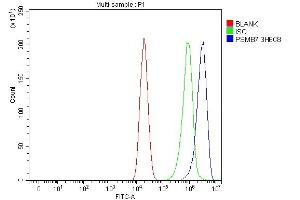 Flow Cytometry analysis of CACO-2 cells using anti-PSMB7 antibody (ABIN7600255).