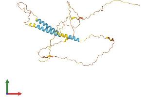AlphaFold protein structure predicition of Human Recombinant TMEM200B Protein, UniprotID Q69YZ2 (TMEM200B Protein (AA 1-307) (His tag))
