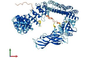 AlphaFold protein structure predicition of Human Recombinant COPG2 Protein, UniprotID Q9UBF2 (COPG2 Protein (AA 1-871) (His tag))