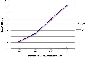 ELISA plate was coated with purified rat IgG and IgM. (Goat anti-Rat IgG (Heavy Chain) Antibody (Alkaline Phosphatase (AP)))