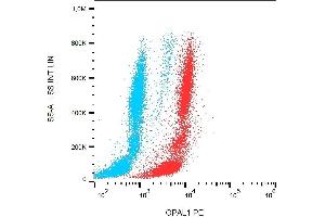 Flow cytometry analysis of OPAL1 in human peripheral blood + lyophilized SP2 cells using mouse monoclonal antibody anti-OPAL1 PE. (OPAL1 antibody  (AA 152-342) (PE))