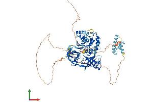 Protein Structure (PS) image for HBS1-Like (HBS1L) (AA 1-682) protein (His tag) (ABIN7557891)