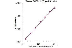 ELISA image for Fibroblast Growth Factor 2 (Basic) (FGF2) ELISA Kit (ABIN3198428)