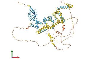 AlphaFold protein structure predicition of Human Recombinant UBQLN4 Protein, UniprotID Q9NRR5 (UBQLN4 Protein (AA 1-601) (His tag))