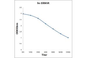 Antigen: 2 µg/100 µL  Primary: Antiserum, 1:500, 1:1000, 1:2000, 1:4000, 1:8000, 1:16000, 1:32000;  Secondary: HRP conjugated Rabbit Anti-Goat IgG at 1: 5000;  TMB staining Read the data in Microplate Reader by 450nm. (Netrin 4 antibody  (AA 520-628))