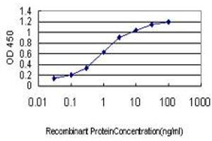Detection limit for recombinant GST tagged DUT is approximately 0. (Deoxyuridine Triphosphatase (DUT) (AA 68-164) antibody)