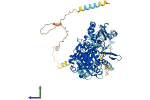 AlphaFold protein structure predicition of Mouse Recombinant Ext1 Protein, UniprotID P97464