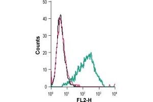 Cell surface detection of P2Y12 in live intact mouse  microglia cells: + rabbit IgG isotype control-PE.