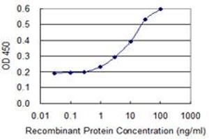 Detection limit for recombinant GST tagged HSD17B7 is 0. (HSD17B7 antibody  (AA 255-341))