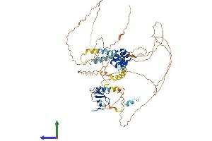 Protein Structure (PS) image for F-Box Protein 43 (FBXO43) (AA 1-640) protein (His tag) (ABIN7559263)