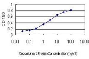 Detection limit for recombinant GST tagged GYG1 is approximately 0. (Glycogenin 1 antibody  (AA 1-73))