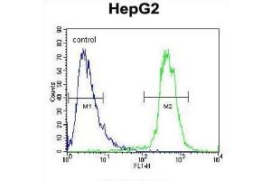 Flow Cytometry (FACS) image for anti-ATPase Type 13A3 (ATP13A3) antibody (ABIN3002493)