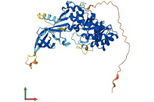 AlphaFold protein structure predicition of Mouse Recombinant Azin2 Protein, UniprotID Q8BVM4 (ADC Protein (AA 1-459) (His tag))