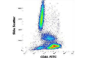 Flow cytometry surface staining pattern of human peripheral whole blood stained using anti-human CD81 (M38) FITC antibody (20 μL reagent / 100 μL of peripheral whole blood). (CD81 antibody  (FITC))