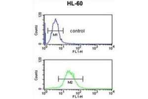 Flow Cytometry (FACS) image for anti-Immunoglobulin Heavy Chain (IgH) antibody (ABIN2995207) (IgH antibody)