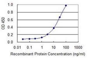 Detection limit for recombinant GST tagged HPGD is 0. (HPGD antibody  (AA 1-266))