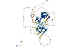 Protein Structure (PS) image for SATB Homeobox 1 (SATB1) (AA 1-763) protein (His tag) (ABIN7555333)